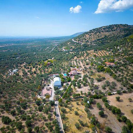 Bed and Breakfast Le Cese San Giovanni Rotondo Exterior foto